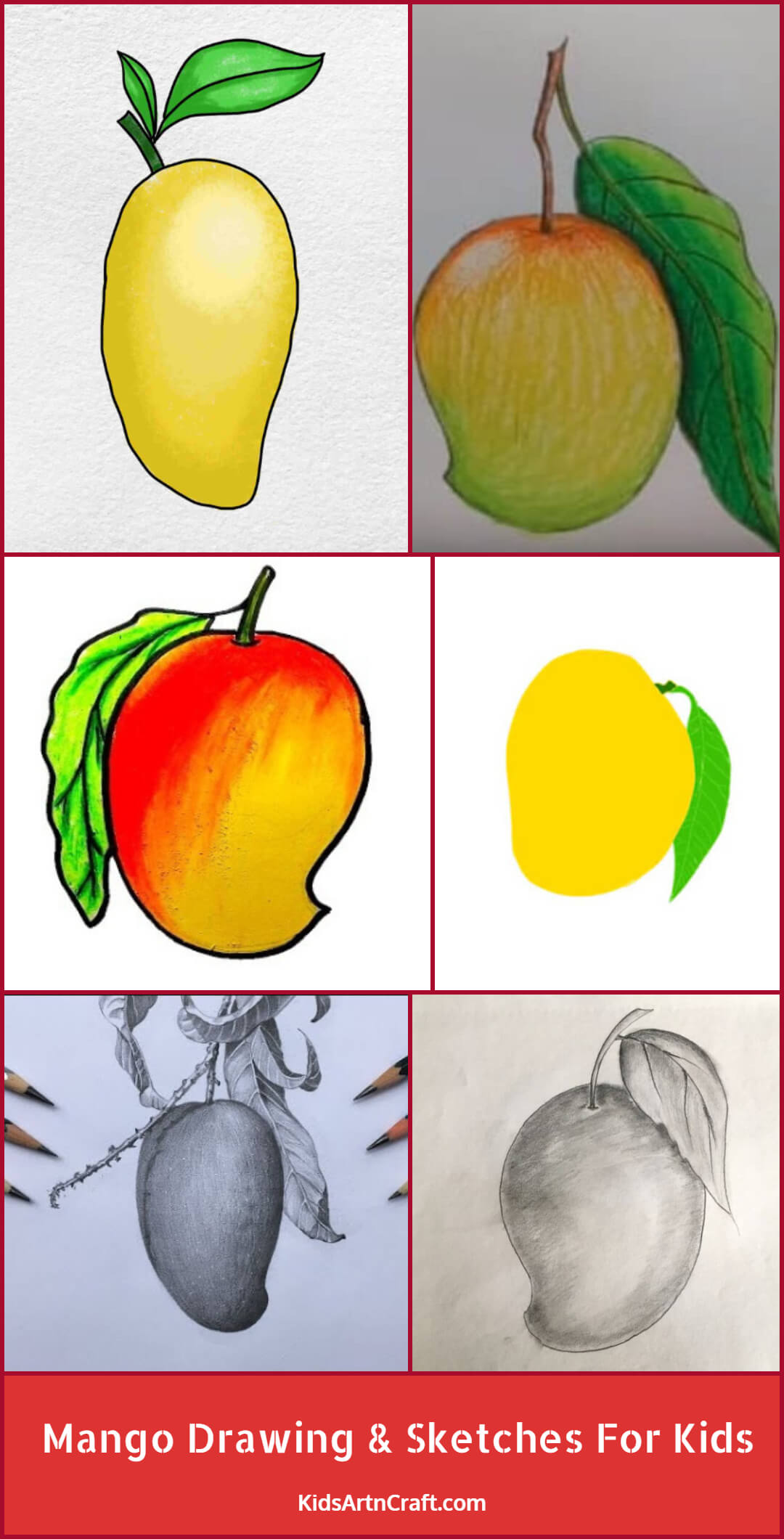 Mango Drawing & Sketches for Kids