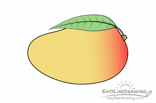 Mango Drawing & Sketches for Kids Mango Drawing With Color Step By Step