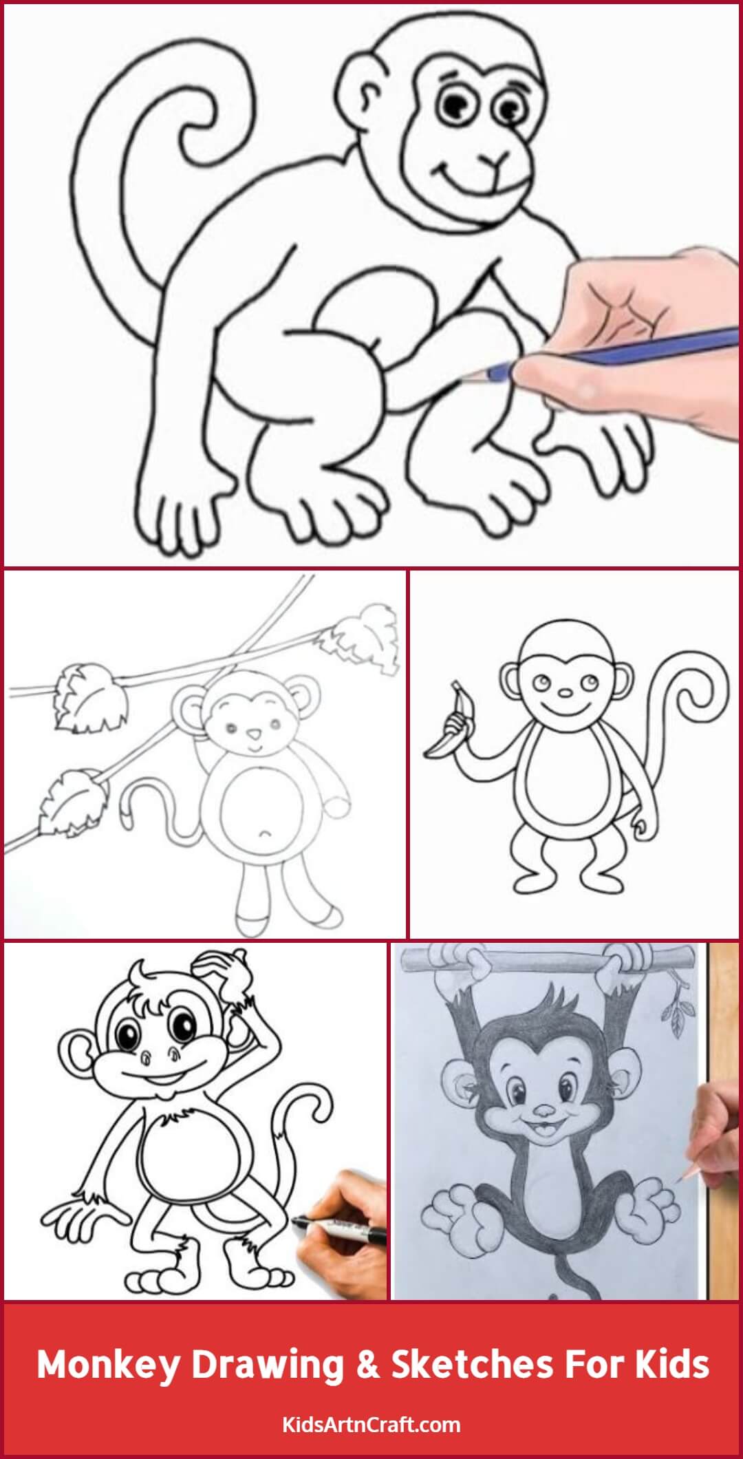 Monkey Drawing & Sketches For Kids