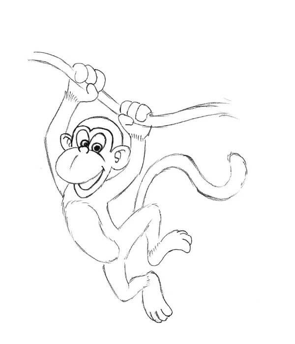 Monkey Drawing Tutorial & Sketches Kids For Beginners