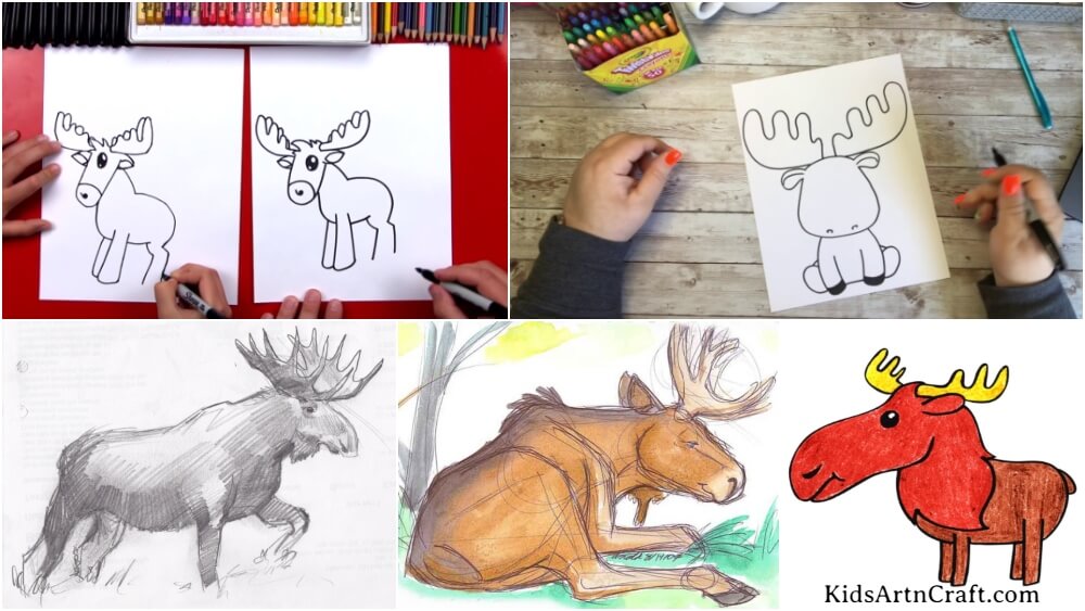 Moose Drawing & Sketches For Kids - Kids Art & Craft