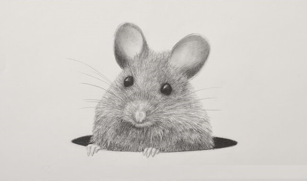 Mouse Drawing With A Mechanical Pencil