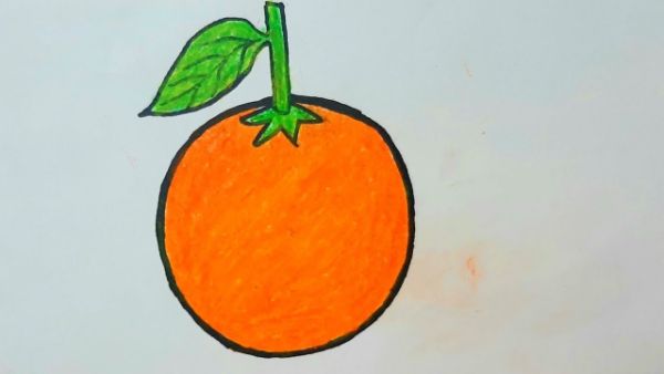 Orange Color Drawing For Kids