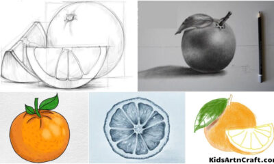 Orange Drawing & Sketches For Kids