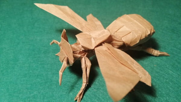 How To Make An Origami Wasp With Kids Origami Wasp 2.6 Time Lapse Craft
