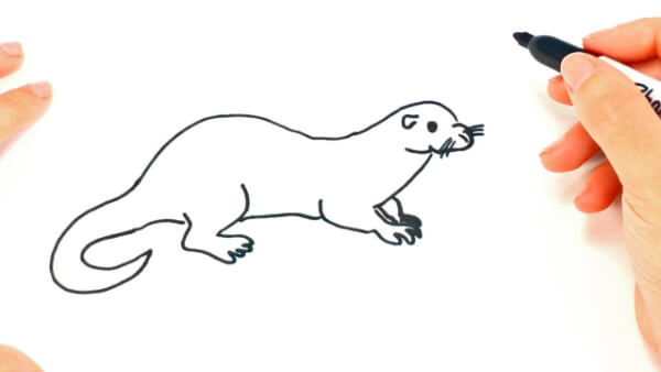 Otter Drawing Lesson For Preschoolers