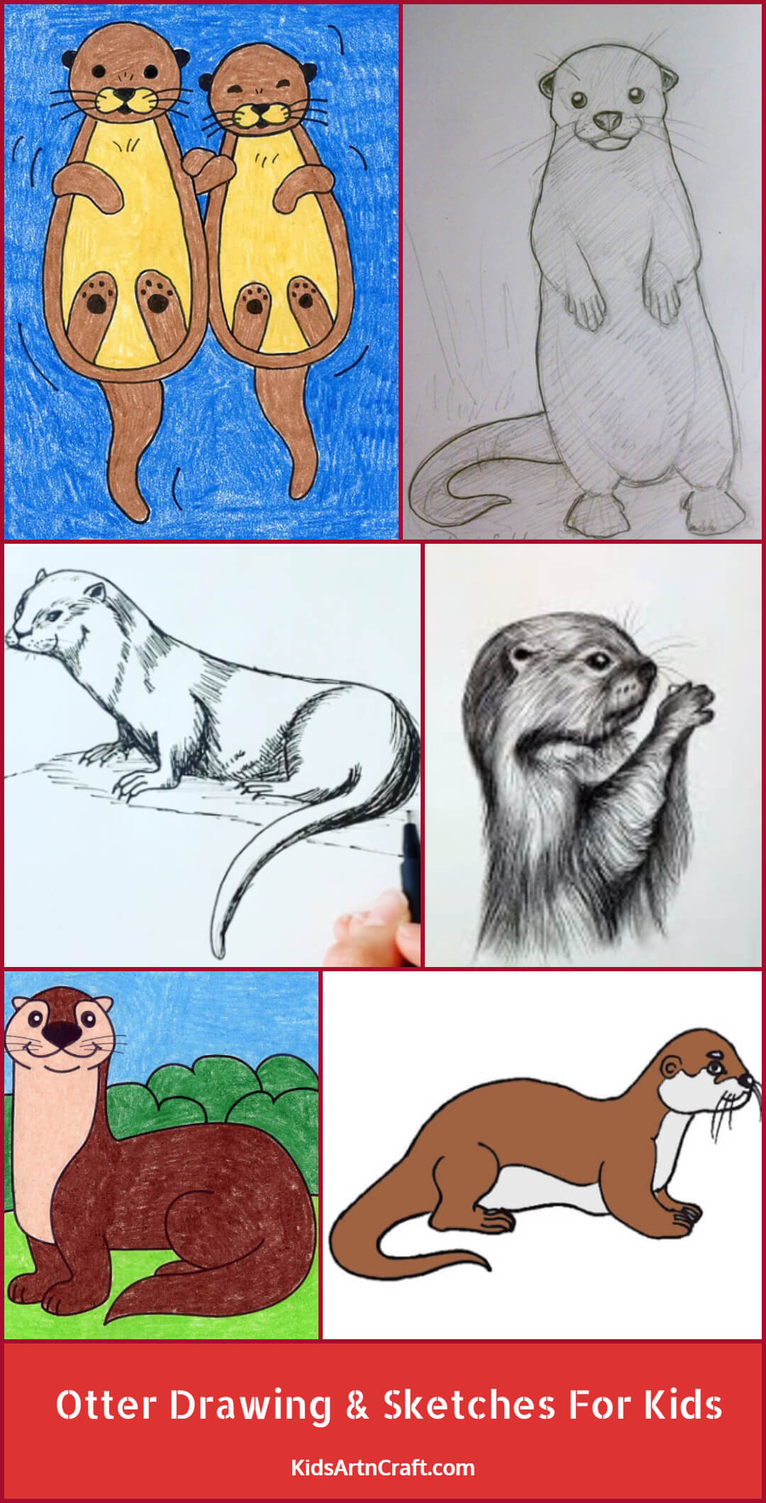 Otter Drawings & Sketches For Kids