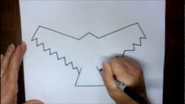 Outline Hawk Drawing Lesson & Sketches For Kids