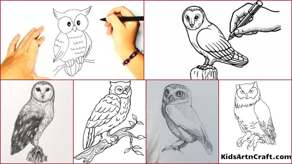 Jessica Sawyer Design: How to Draw an Owl + Free Owl Clipart | Owls drawing,  Owl crafts, Owl painting