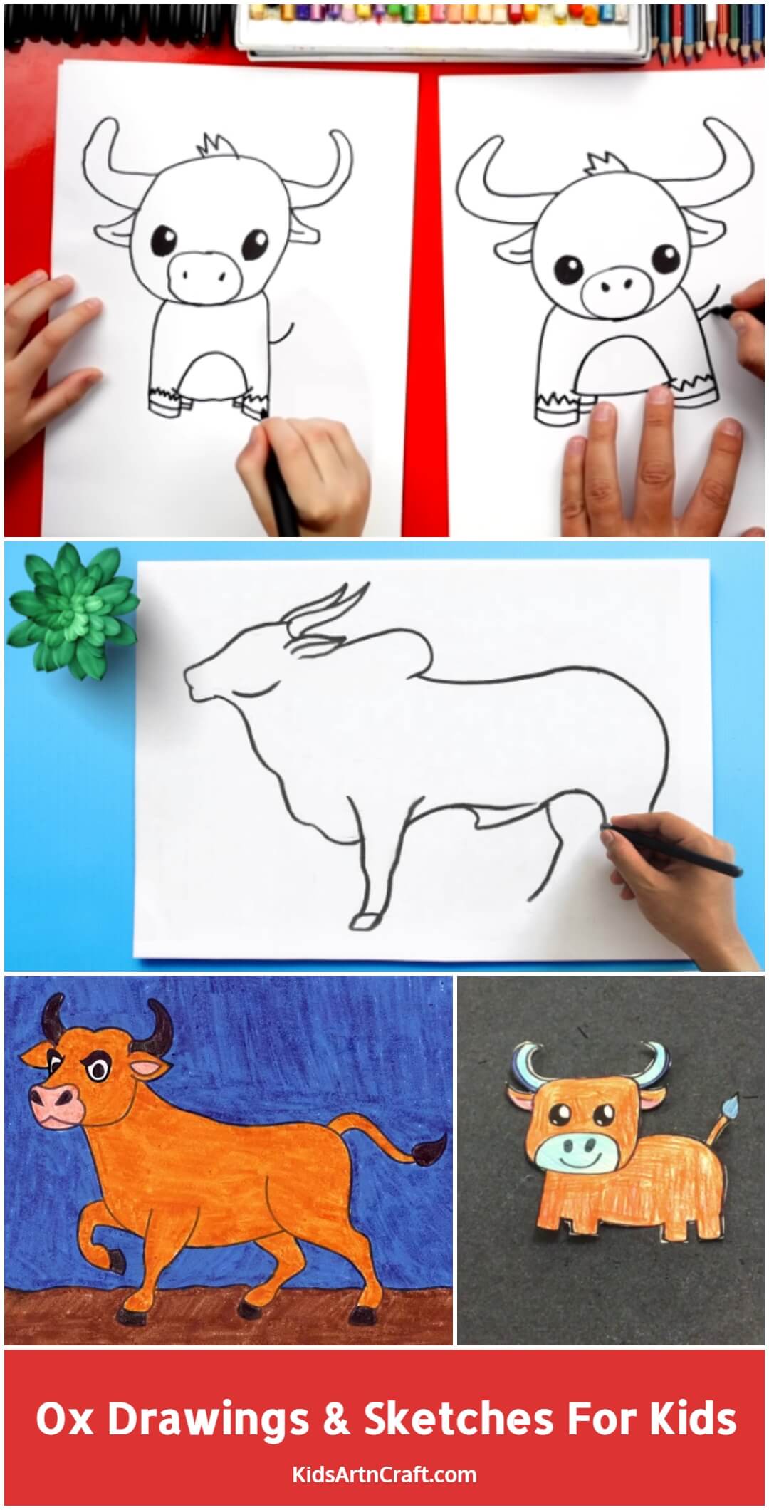 Ox Drawing & Sketches For Kids