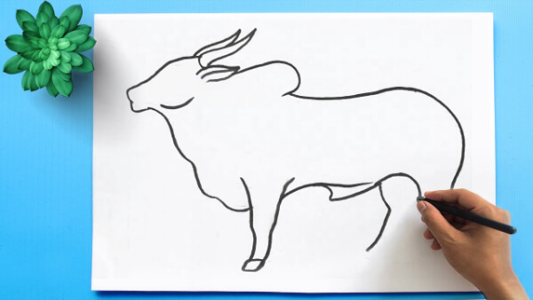 Ox Drawing Tutorial For Kids