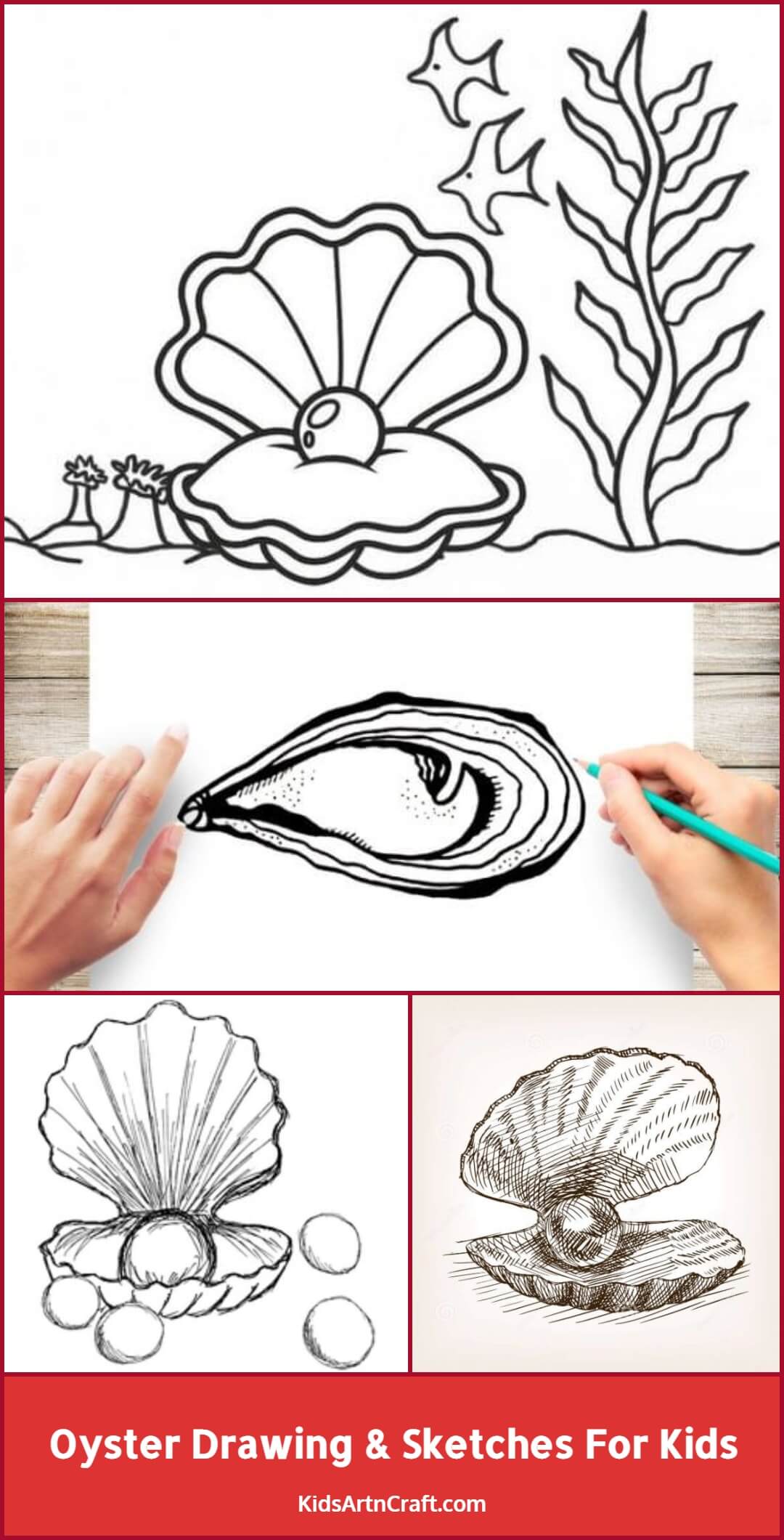 Oyster Drawing & Sketches For Kids