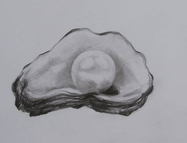 Oyster Shell Drawing Sketch With Pearl Using Pencil Sketches For Kids