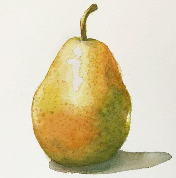 Painting Pear With Watercolor