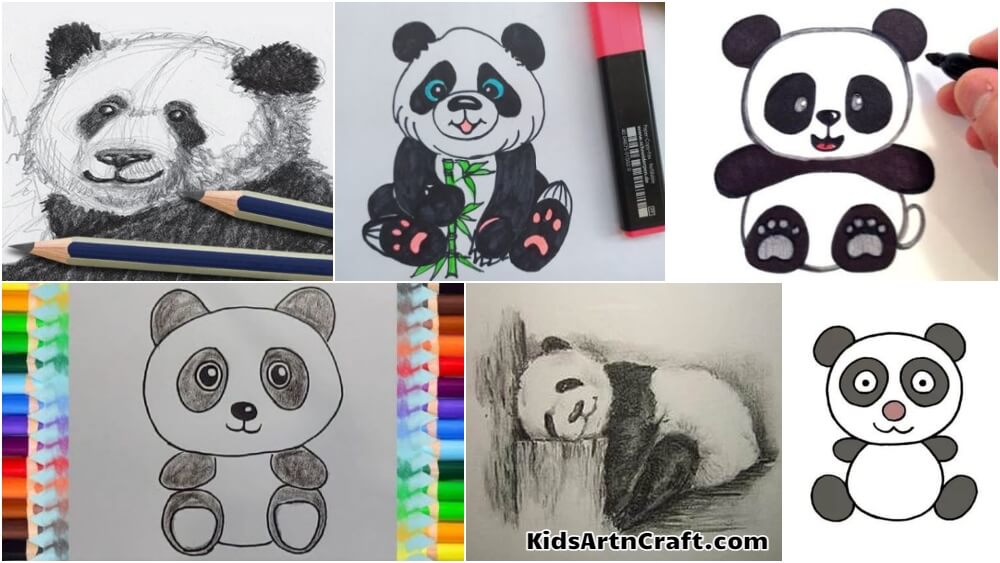 Premium Vector  Cute panda pencil color illustration