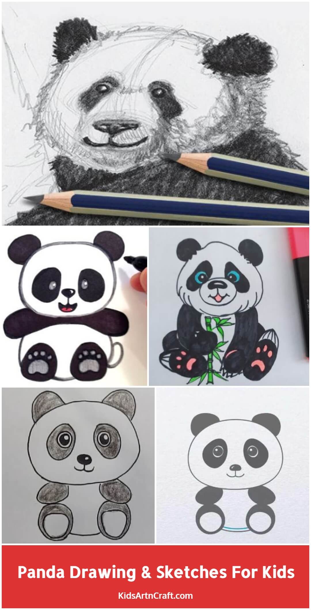 Panda Drawing & Sketches For Kids