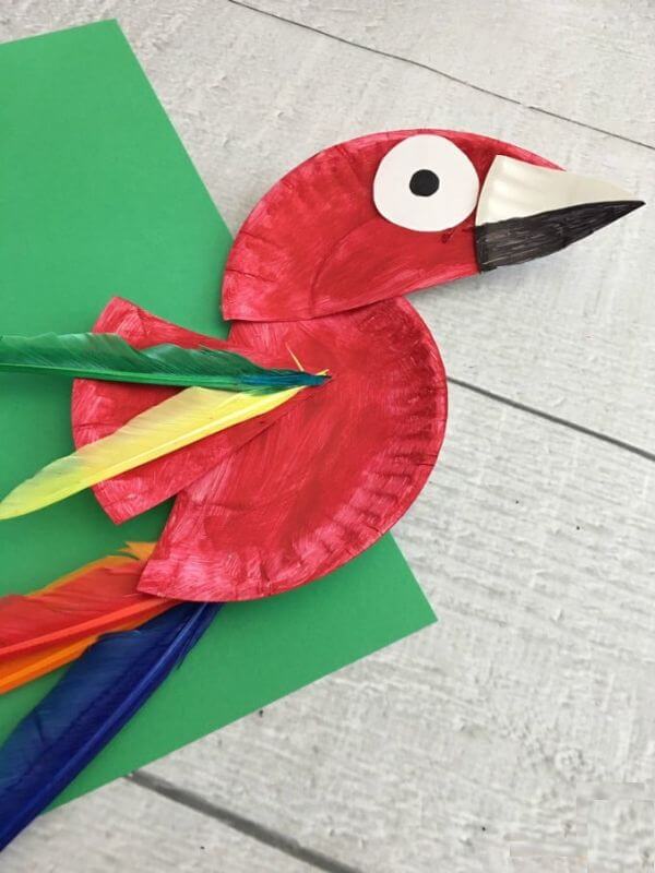 Paper Plate Parrot Craft & activities For Kids