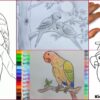 Parrot Drawing & Sketches For Kids