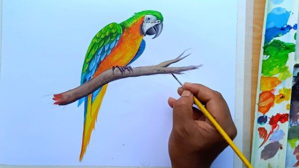 Parrot Painting Bird With Poster Color