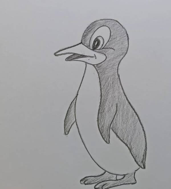 Penguin Pencil Drawing & Sketches For Kids Beginners 