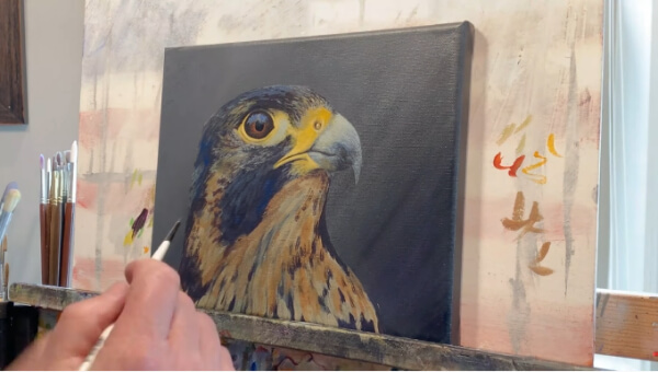 Falcon Paintings For Kids Peregrine Falcon Painting