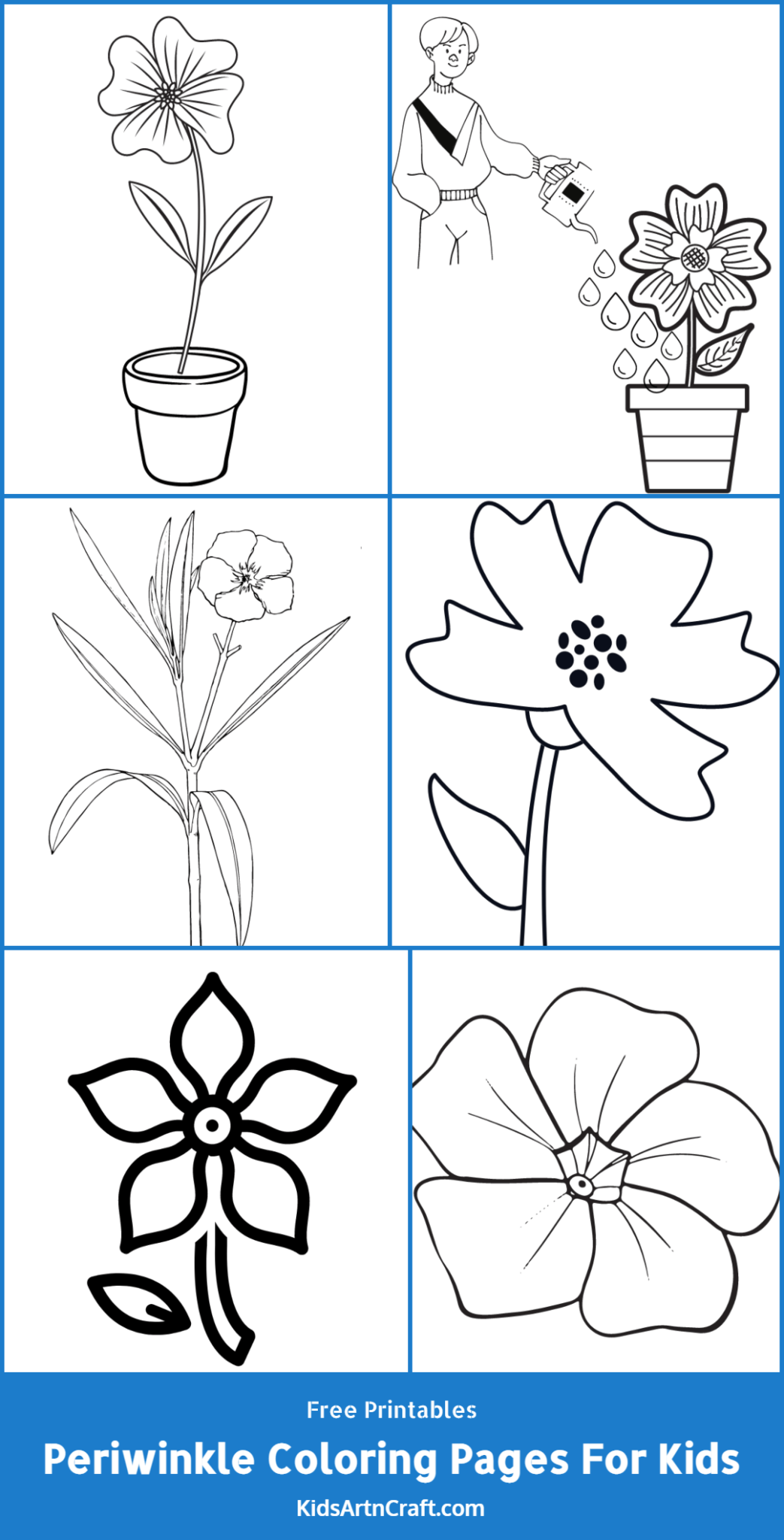 Periwinkle Coloring Pages For Kids – Free Printables - Kids Art & Craft