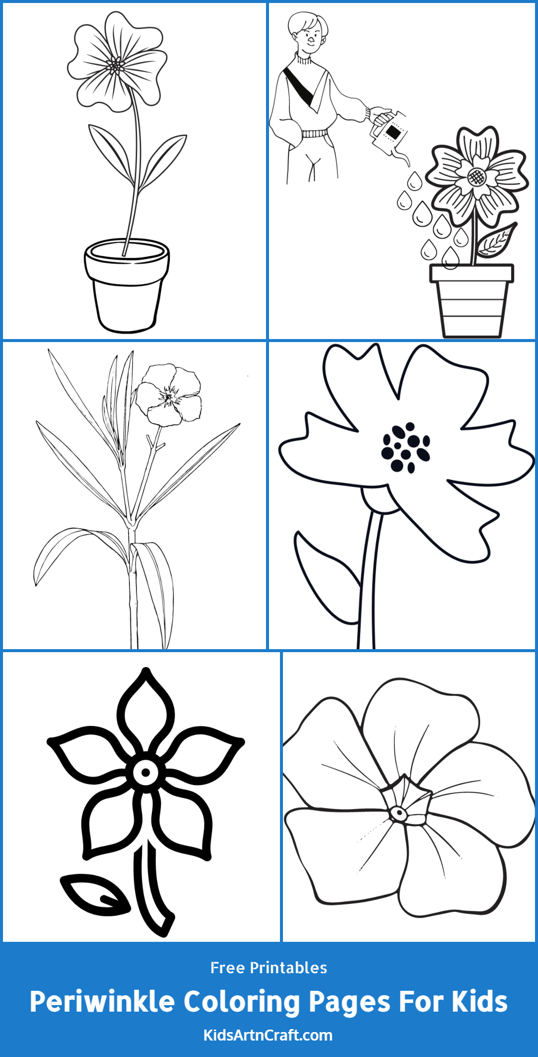 Periwinkle Coloring Pages For Kids – Free Printables