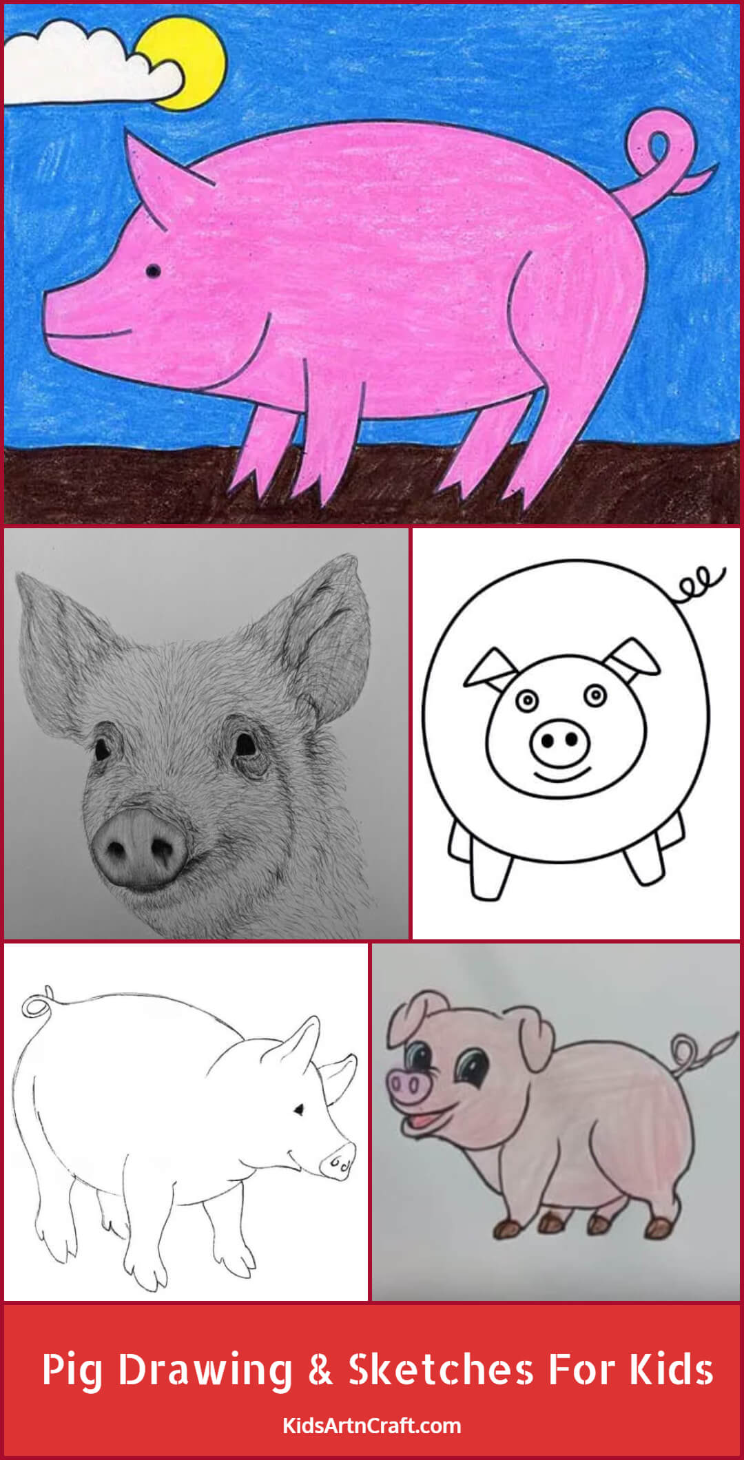 Pig Drawing & Sketches For Kids