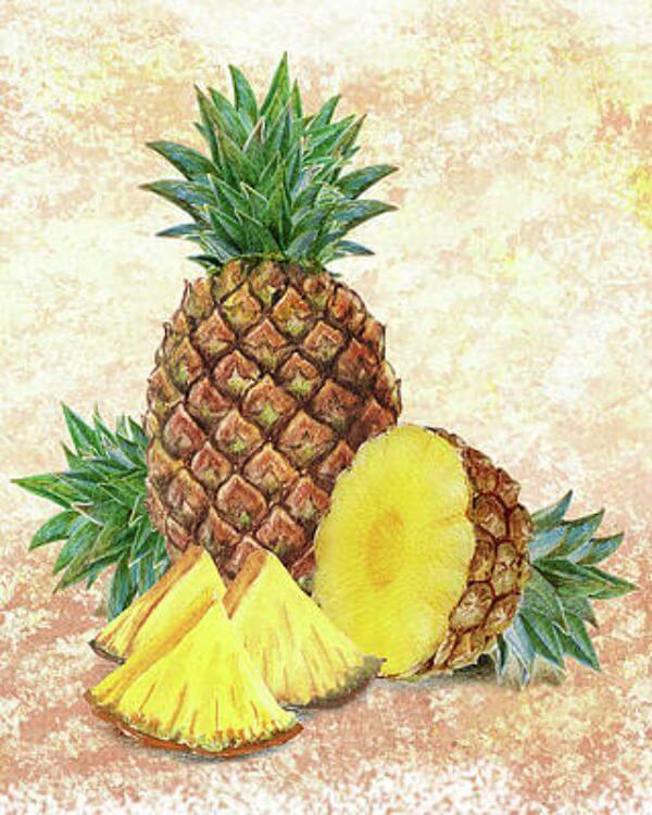 Pineapple Slice Painting With Watercolor