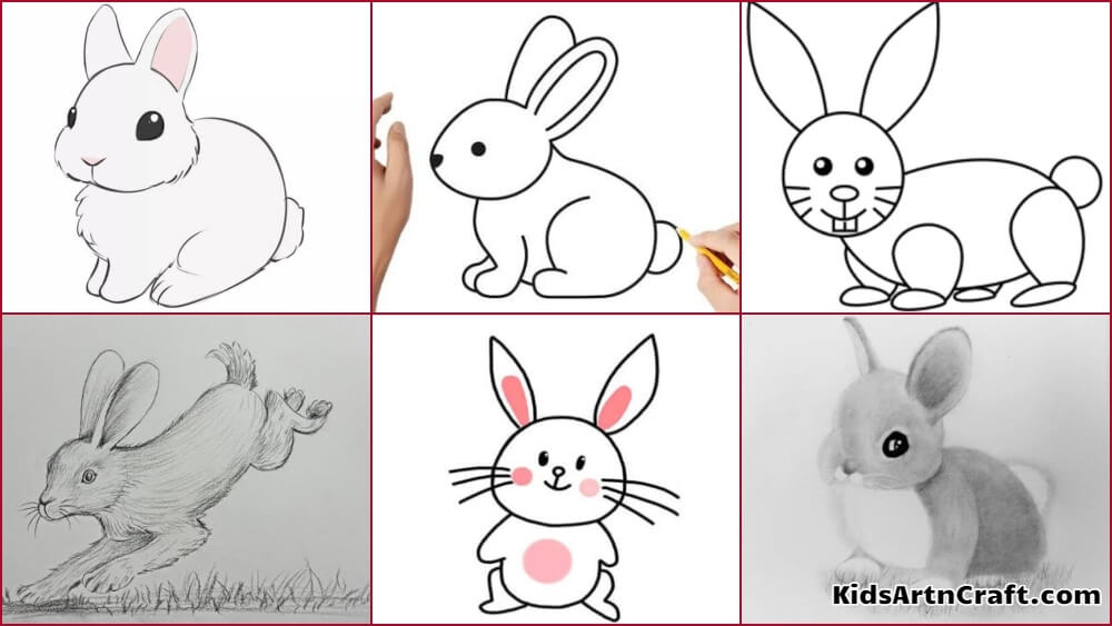 Rabbit linear drawing of a bunny rabbit  small fluffy cute pet easter  bunny template for coloring vector illustration  CanStock