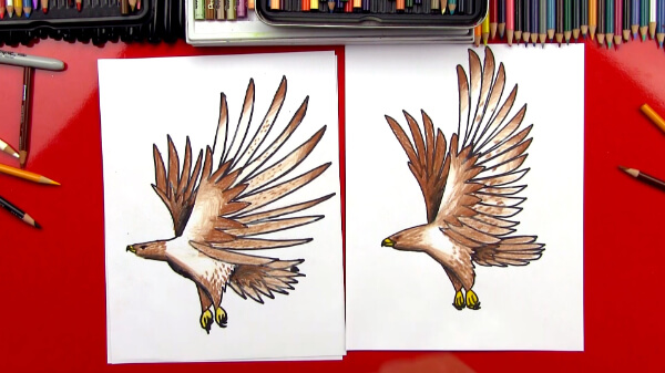 Realistic Hawk Drawing Ideas & Sketches For Kids
