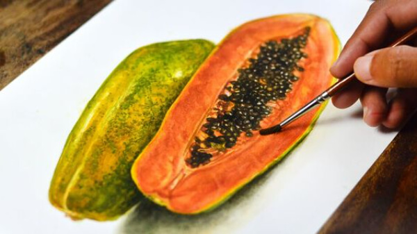 Realistic Papaya Painting In Watercolor Papaya Paintings for Kids