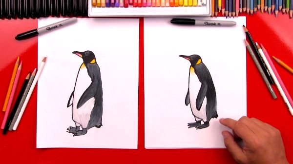 Realistic Penguin Drawing Tutorial