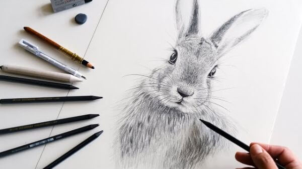 Realistic Rabbit Pencil Drawing & Sketch For Kids