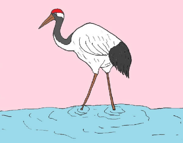 Red Crowned Crane Drawing For Kids
