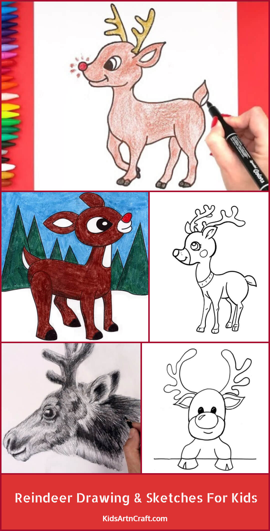 Reindeer Drawing & Sketches For Kids