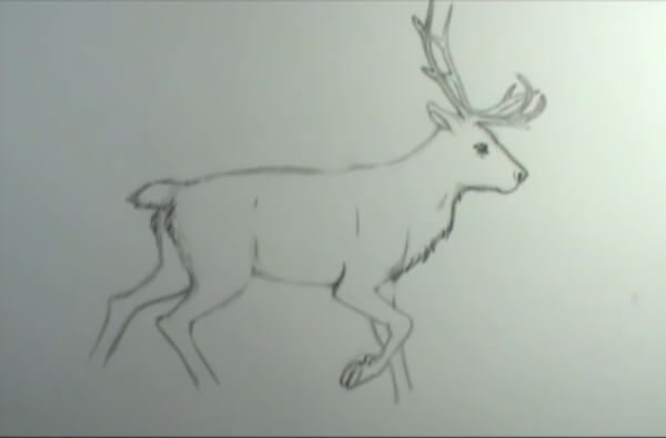 Reindeer Drawing & Sketches For Kids Reindeer Realistic Pencil Sketch Drawing