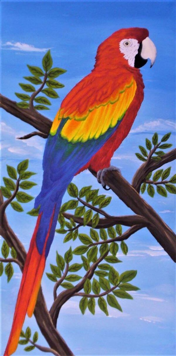 Scarlet Macaw Parrot Art Painting For Kids
