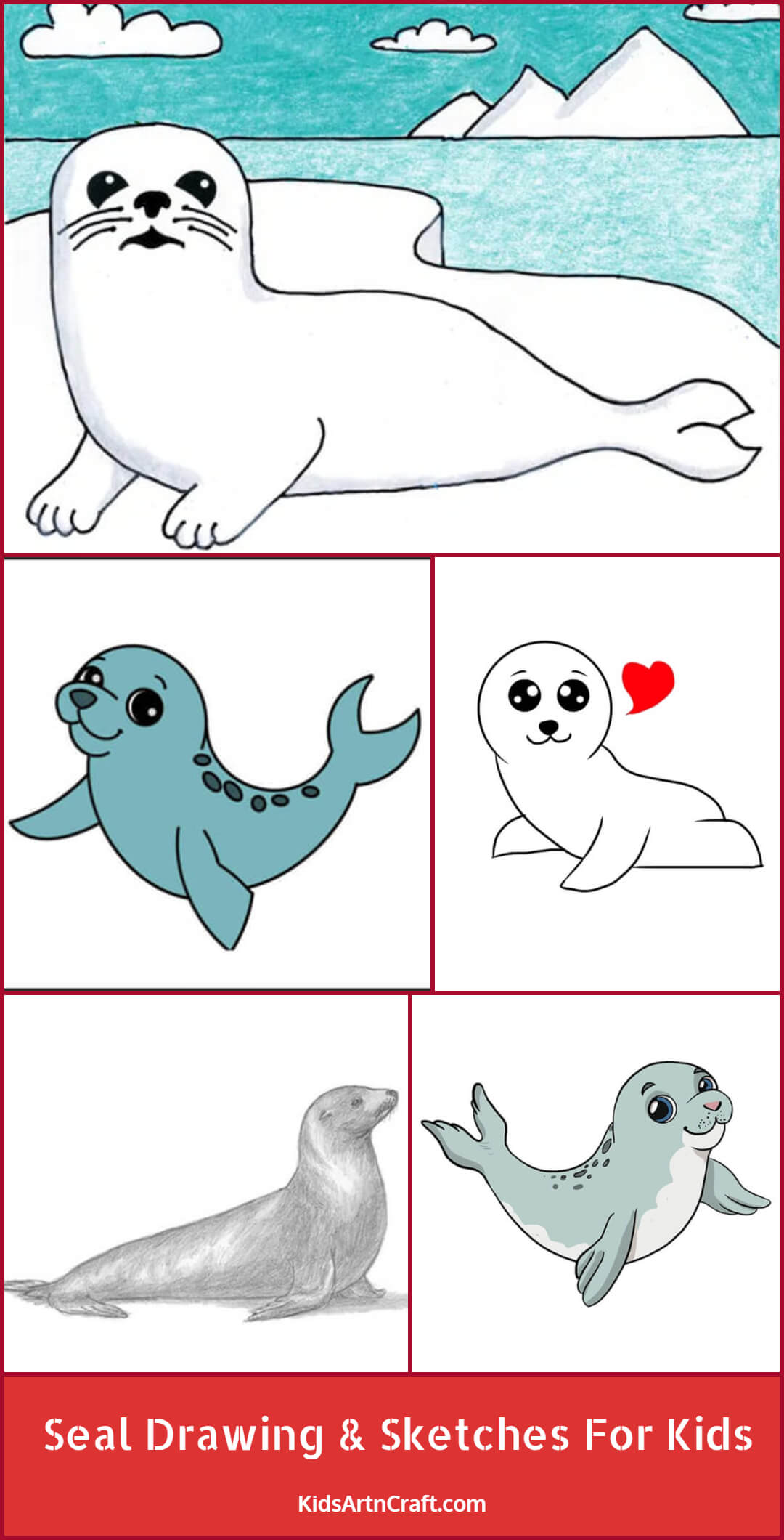 Seal Drawing & Sketches For Kids