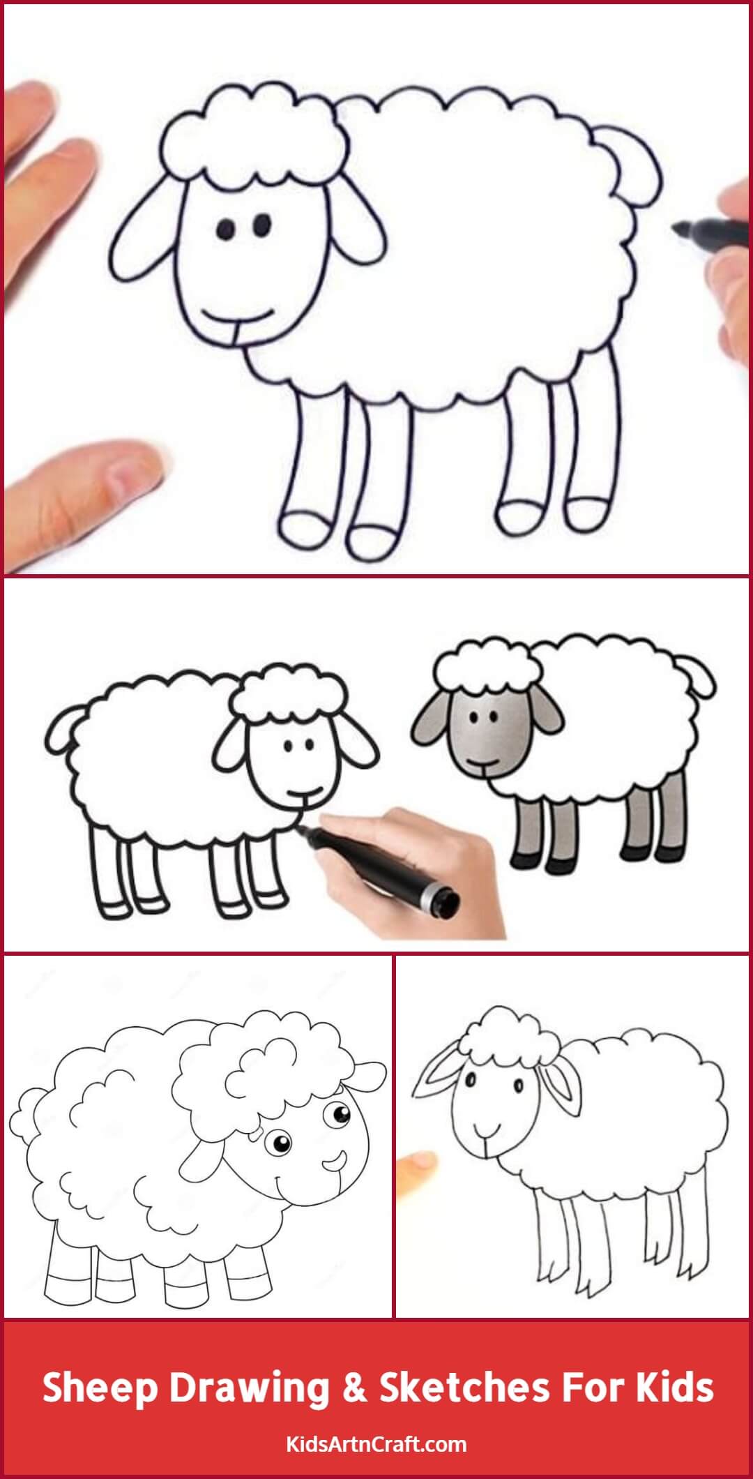 Sheep Drawing & Sketches For Kids