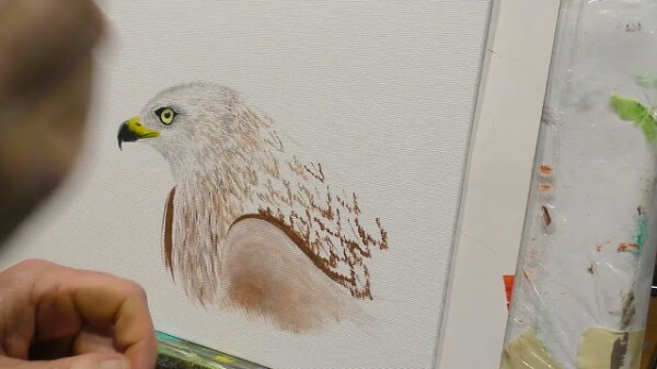 Simple Acrylic Hawk Painting