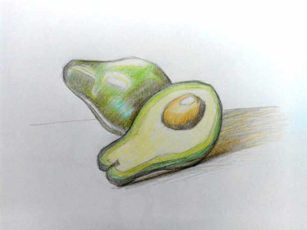 Avocado Drawings & Sketches for Kids Simple Avocado Drawing Ideas With Pencil