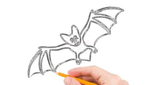 Simple Bat Drawing Tutorial Sketches For kids Beginners