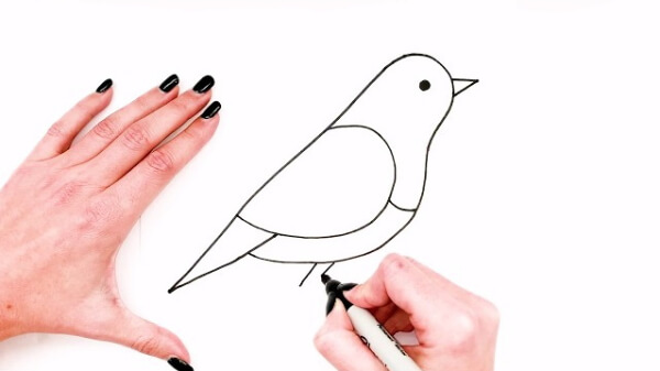 Simple Bird Drawing Steps
