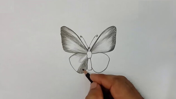 Simple Butterfly Sketch For Kids