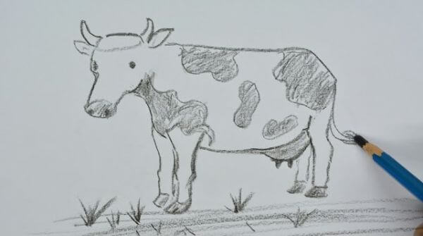 Simple Cow Drawing Tutorial
