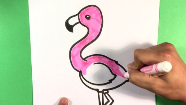 Simple & Easy Flamingo Drawing & sketches For Kids
