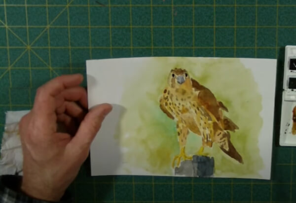 Simple Falcon Water Color Painting