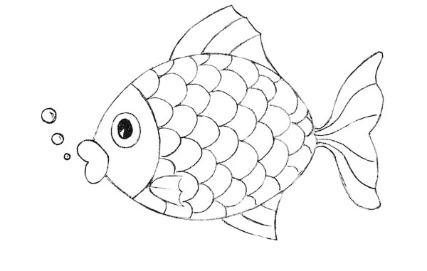 Simple Fish Drawing Step By Step