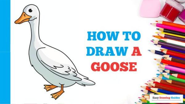 Simple Goose Drawing Instruction